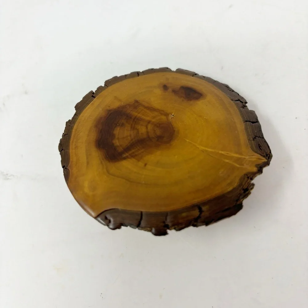 Vintage Wooden Cross Section Polished Wood OOAK Belt Buckle Brass Hardware 2.5”
